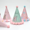 Party hat, pom-pom birthday hat, pointed hat, children's and babies' first birthday, cake shop goddess style Application Scenario